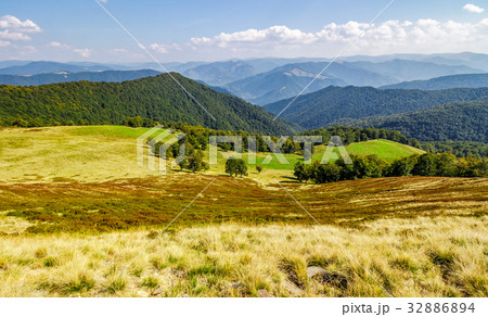 forest on beautiful mountain hills in autumn forest on beautiful mountain hills in autumn 32886894