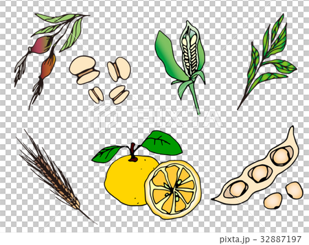 健康食品 ６品目のイラスト素材