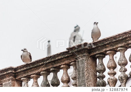 Two seagulls stand on fence. 32887974