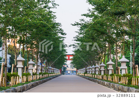 鎌倉　若宮大路　段葛 32889111