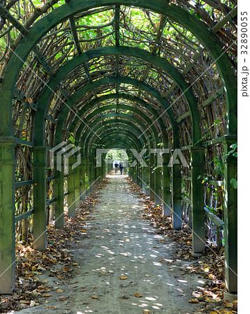 Trellis arches in Arkhangelskoe estate in Moscow 32890055