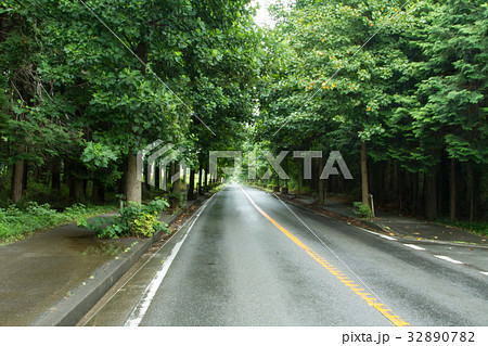 ぬれた道路 ぬれた道路 32890782