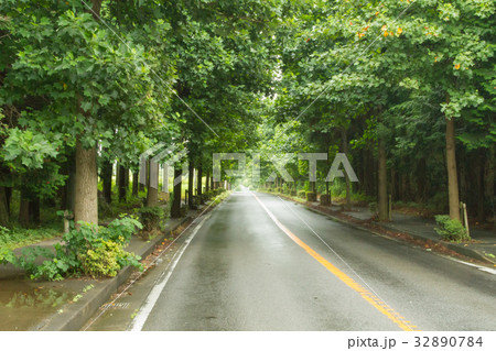 ぬれた道路 ぬれた道路 32890784