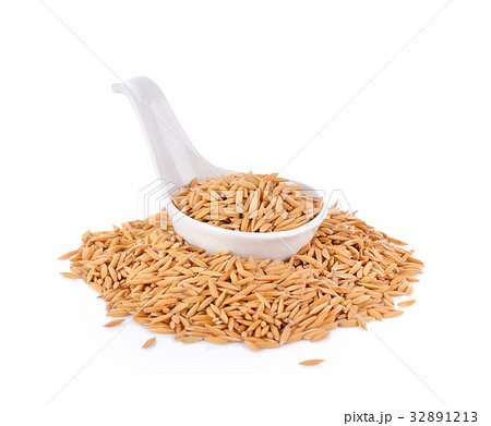 paddy rice on white background paddy rice on white background 32891213