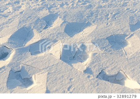 Photo snow, close-up Photo snow, close-up 32891279