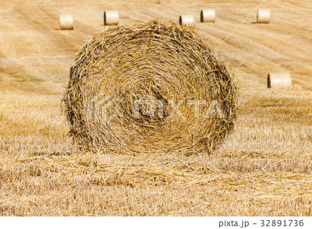 Rolls of haystacks 32891736