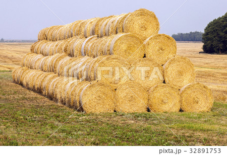 stack of straw on the ground stack of straw on the ground 32891753