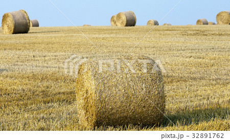 golden straw bales golden straw bales 32891762