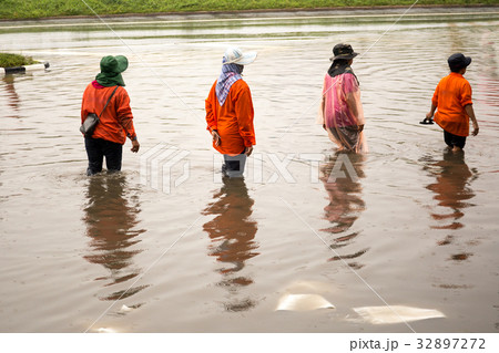 Asian people walking on flooding road Asian people walking on flooding road 32897272