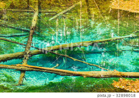 《北海道》神の子池《秋》 32898018
