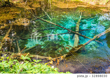 《北海道》神の子池《秋》 32898030