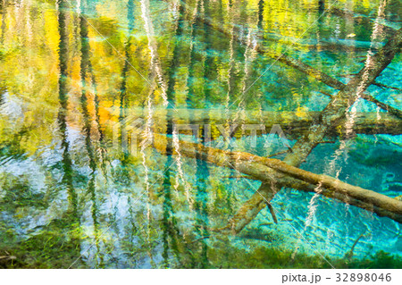 《北海道》神の子池《秋》 32898046