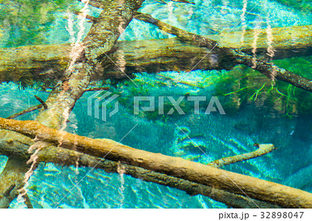 《北海道》神の子池《秋》 32898047