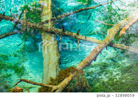 《北海道》神の子池《秋》 32898059