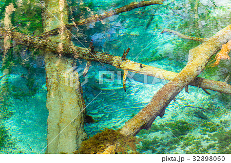 《北海道》神の子池《秋》 32898060
