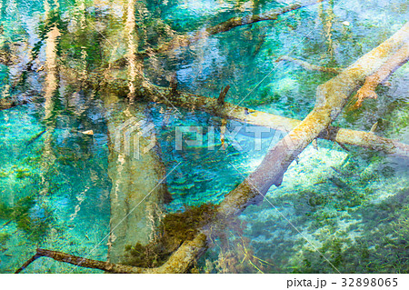 《北海道》神の子池《秋》 32898065