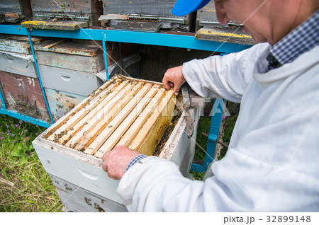 The beekeeper keeps a frame with honey sealed with 32899148