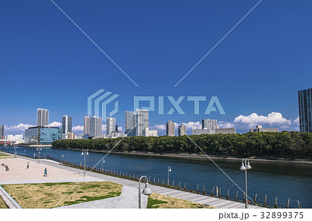 豊洲ぐるり公園と運河と東雲方面のマンション群 豊洲ぐるり公園と運河と東雲方面のマンション群 32899375