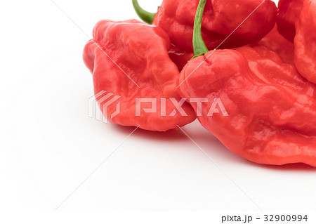 ゴーストペッパー(ブートジョロキア):Ghost pepper ゴーストペッパー(ブートジョロキア):Ghost pepper 32900994