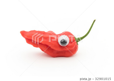 目玉シール・ゴーストペッパー(ブートジョロキア):wiggly-eyed ghost pepper 目玉シール・ゴーストペッパー(ブートジョロキア):wiggly-eyed ghost pepper 32901015