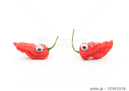 目玉シール・ゴーストペッパー(ブートジョロキア):wiggly-eyed ghost pepper 目玉シール・ゴーストペッパー(ブートジョロキア):wiggly-eyed ghost pepper 32901016