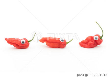 目玉シール・ゴーストペッパー（ブートジョロキア）:wiggly-eyed ghost pepper 32901018