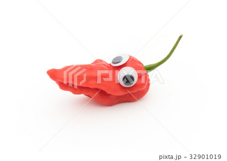 目玉シール・ゴーストペッパー（ブートジョロキア）:wiggly-eyed ghost pepper 32901019