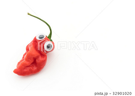 目玉シール・ゴーストペッパー(ブートジョロキア):wiggly-eyed ghost pepper 目玉シール・ゴーストペッパー(ブートジョロキア):wiggly-eyed ghost pepper 32901020