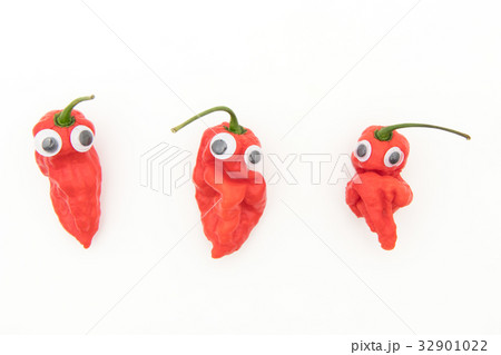 目玉シール・ゴーストペッパー（ブートジョロキア）:wiggly-eyed ghost pepper 32901022