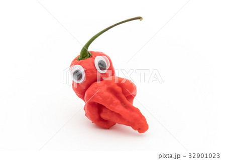 目玉シール・ゴーストペッパー(ブートジョロキア):wiggly-eyed ghost pepper 目玉シール・ゴーストペッパー(ブートジョロキア):wiggly-eyed ghost pepper 32901023