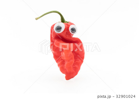 目玉シール・ゴーストペッパー（ブートジョロキア）:wiggly-eyed ghost pepper 32901024