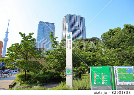 錦糸公園    墨田区 32901388