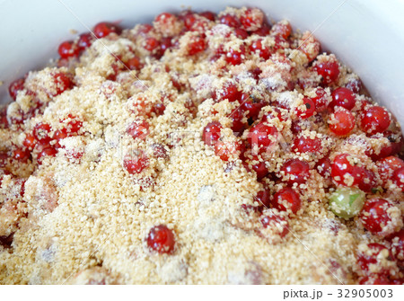 甜菜糖をかけたフサスグリ 32905003