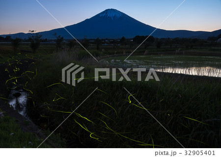 【富士山】富士とホタル 32905401