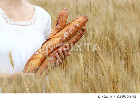 小麦畑でピクニック 小麦畑でピクニック 32905842