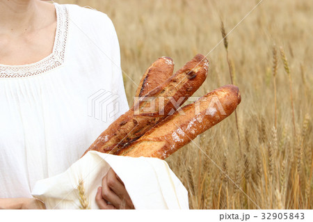 小麦畑でピクニック 32905843