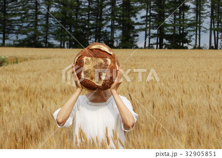 小麦畑でピクニック 32905851