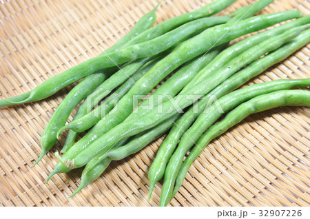 インゲン豆 32907226