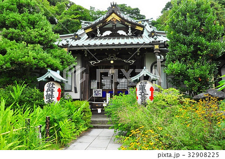 花と緑でいっぱの鎌倉常栄寺（ぼたもち寺）境内 32908225