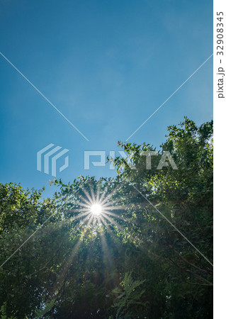 木漏れ日 32908345