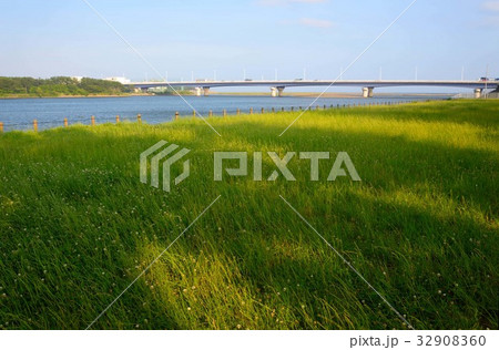 須賀港から眺める平塚大橋 須賀港から眺める平塚大橋 32908360