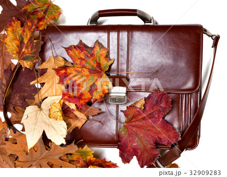 Brown leather briefcase and autumn dry leaves 32909283