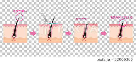 Cross section view of waste hair treatment razor hair 32909396