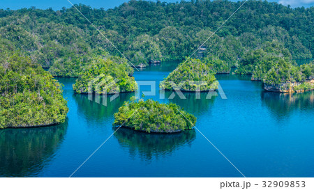 Many Rocks covered by Palmtrees in Passage between 32909853