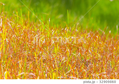 sky and nature sky and nature 32909860