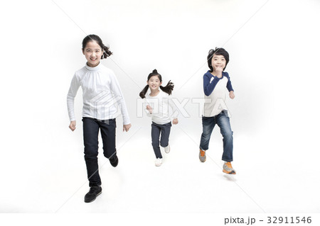 ヌキ 切り抜き 純粋な 32911546