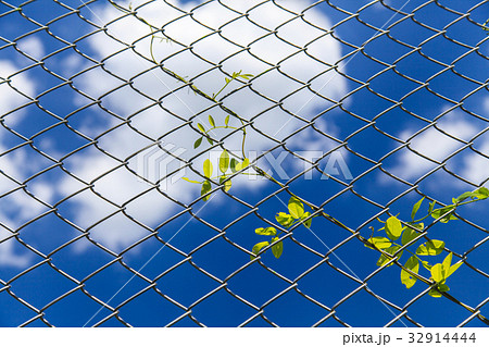 Wired fence Wired fence 32914444