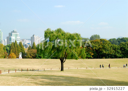 風景 公園 松坡区 32915227