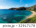 ハナウマベイ 32917178