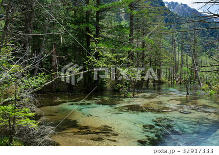 上高地・岳沢湿原 32917333